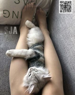 日本寂寞的人妻中文字幕_国产剧免费观看电视剧